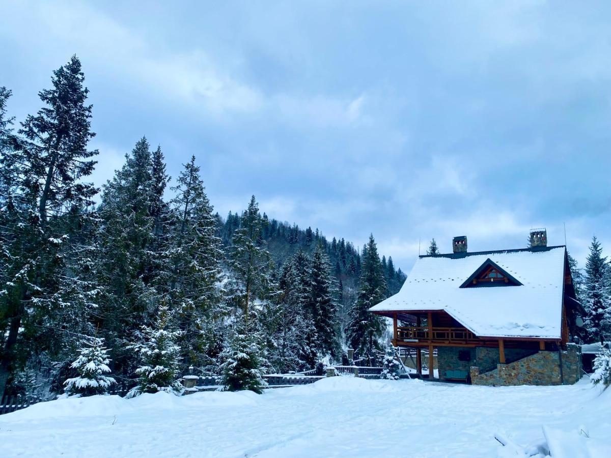 Villa Na Gori à Slavsko Extérieur photo